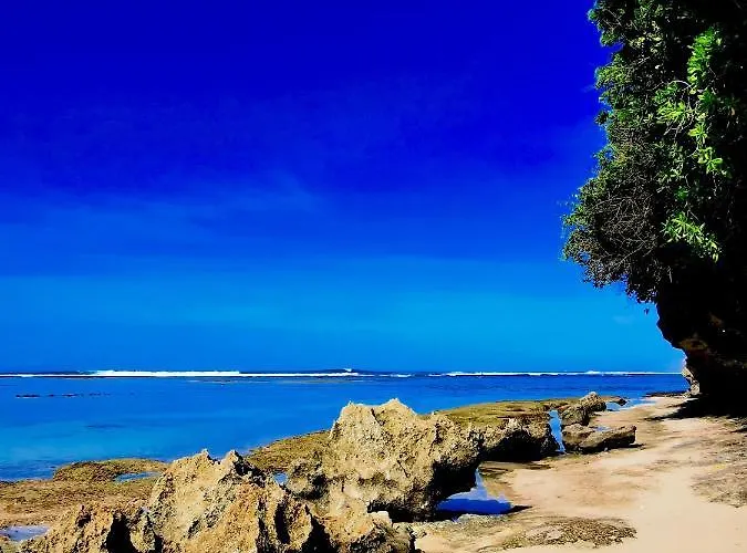 Artoria Dream Bali